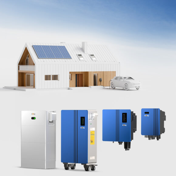 Dai-Tech (nJoy) crește cu circa 17% în 2025 și își propune o creștere similară în 2026